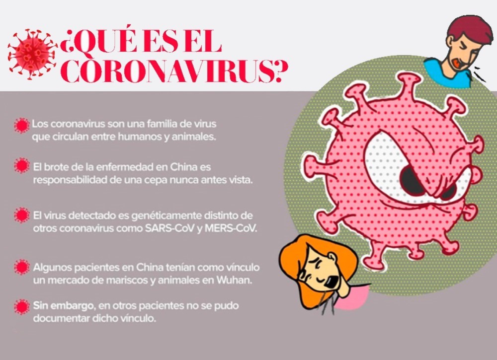consejo